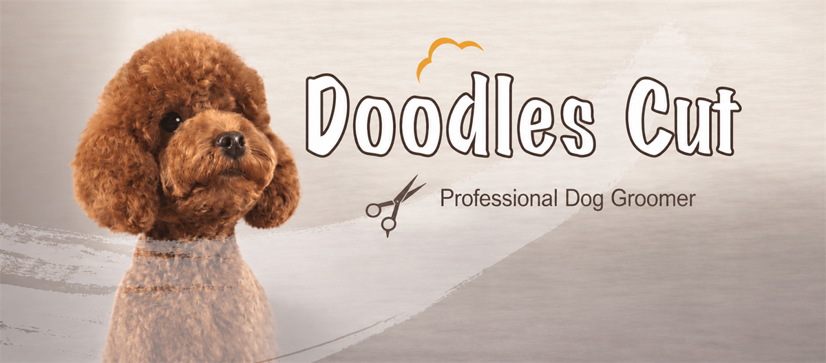 Doodles Cut Banner